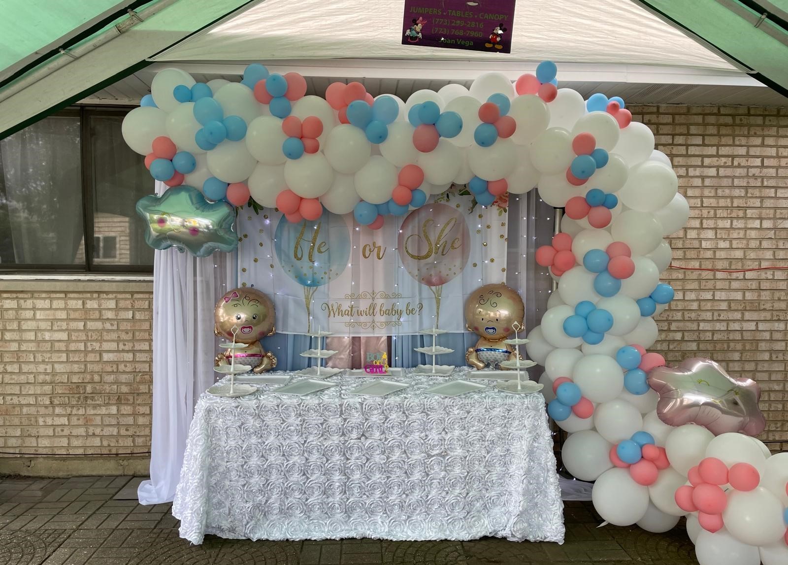 Baby shower landscape setting