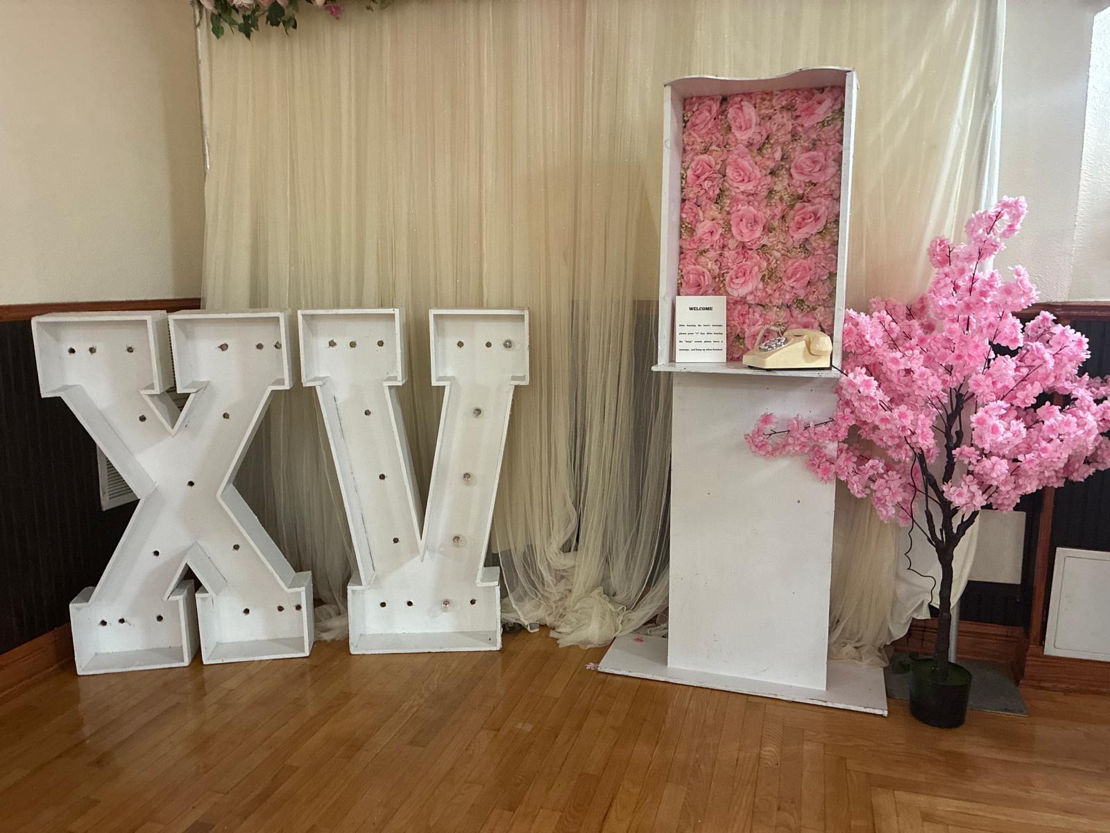 Custom marquee letter sign for celebration